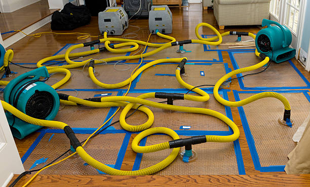 Professional Crawl Space Water Removal technician working in Denville, NJ